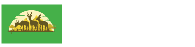 Client 2